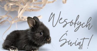 Grafika przedstawiająca króliczka z napisem "Wesołych Świąt"