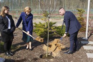 Wójt Gminy Czerwonak, Dyrektor Szkoły podczas nasadzania pamiątkowego drzewa