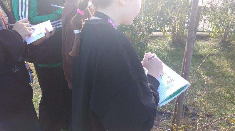 Czwórka dziewcząt na terenie szkolnym obserwuje porosty na drzewie, trzymając w ręce zeszyt z kartą pracy i długopis.