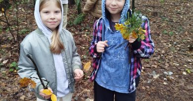 Uczniowie trzymający w dłoniach różne gatunki liści oraz kije. Dzieci starały się rozpoznać nazwę drzewa z którego pochodzą.