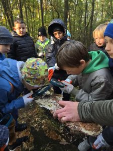dzieci oglądają pająka przez lupę