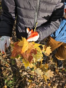 dłonie trzymające bukiet liści