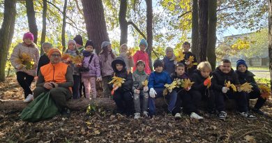 cała klasa siedzi na konarze w lesie wraz doktorem