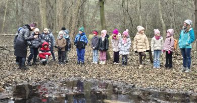 klasa nad brzegiem stawu