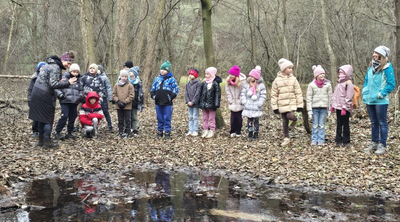 klasa nad brzegiem stawu