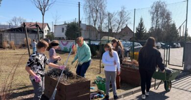 Uczniowie wraz z nauczycielami robią porządki w ogródku szkolnym.