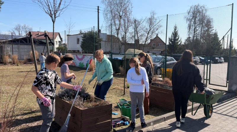 Uczniowie wraz z nauczycielami robią porządki w ogródku szkolnym.
